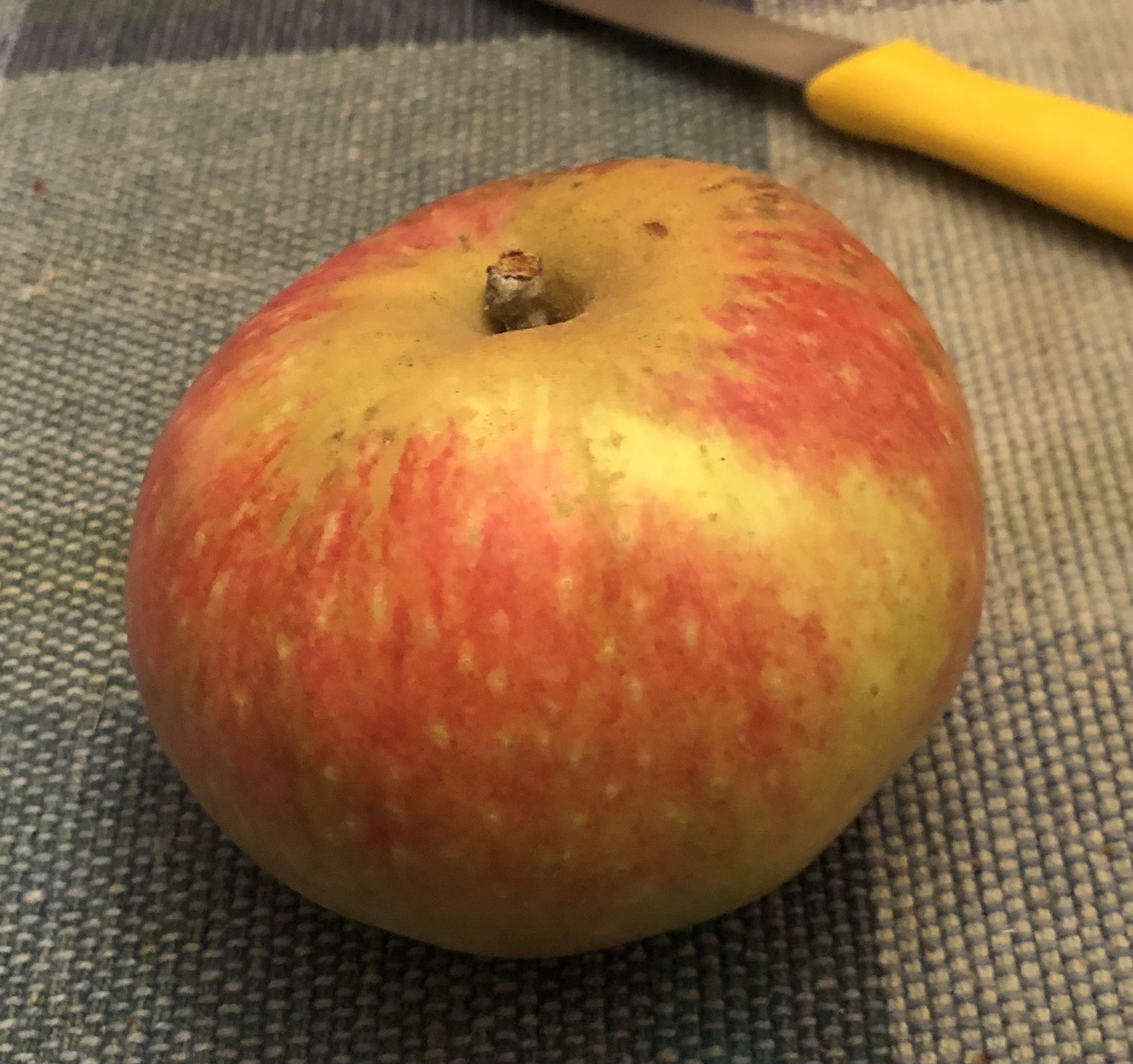 Honeycrisp Apple – Lautenbach's Orchard Country